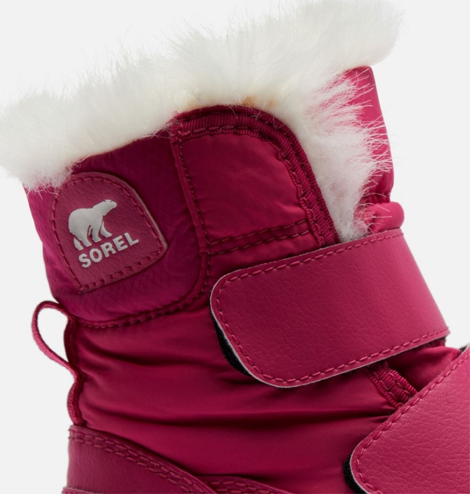 Kinder Whitney Ii Strap Boot Sorel Switzerland Kaktus Rosa-schwarz