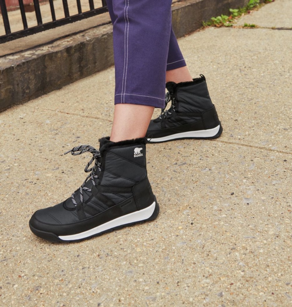 Whitney Ii Kurzer Spitzenstiefel Für Damen Sorel Schweiz Schwarz